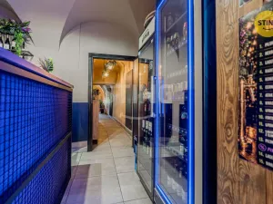 Prodej komerční nemovitosti, Český Těšín, 84 m2