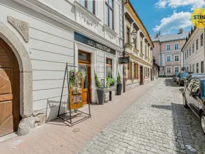 Prodej komerční nemovitosti, Český Těšín, 84 m2