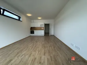 Prodej bytu 1+kk, Plzeň - Jižní Předměstí, Železná, 41 m2