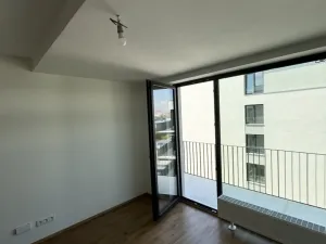 Prodej bytu 1+kk, Plzeň - Jižní Předměstí, Železná, 41 m2