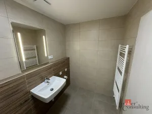 Prodej bytu 1+kk, Plzeň - Jižní Předměstí, Železná, 41 m2