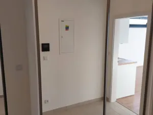 Prodej bytu 1+kk, Plzeň - Jižní Předměstí, Železná, 41 m2