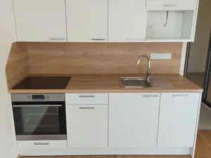 Prodej bytu 1+kk, Plzeň - Jižní Předměstí, Železná, 46 m2