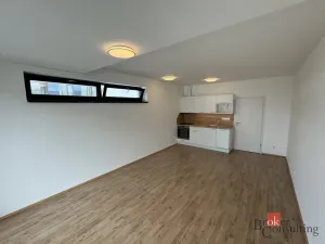 Prodej bytu 1+kk, Plzeň - Jižní Předměstí, Železná, 46 m2