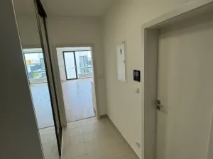 Prodej bytu 1+kk, Plzeň - Jižní Předměstí, Železná, 46 m2