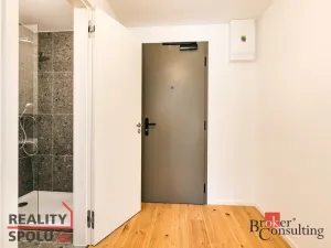 Pronájem bytu 1+kk, Brno - Zábrdovice, Bratislavská, 29 m2