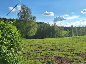 Prodej rodinného domu, Borovnička, 95 m2