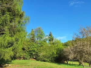 Prodej rodinného domu, Borovnička, 95 m2