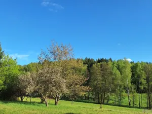 Prodej rodinného domu, Borovnička, 95 m2