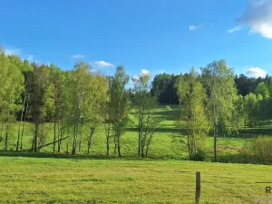 Prodej rodinného domu, Borovnička, 95 m2