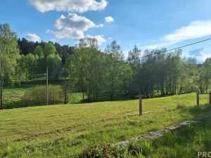 Prodej rodinného domu, Borovnička, 95 m2
