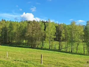 Prodej rodinného domu, Borovnička, 95 m2