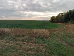 Prodej pozemku, Žiželice, 12734 m2