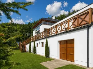 Prodej rodinného domu, Samopše, 642 m2