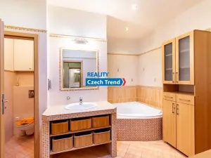Pronájem bytu 3+kk, Olomouc, Denisova, 105 m2