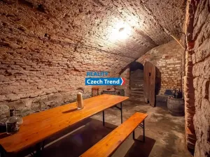 Pronájem bytu 3+kk, Olomouc, Denisova, 105 m2
