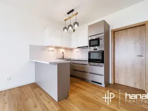 Pronájem bytu 1+kk, Olomouc, Aloise Rašína, 35 m2