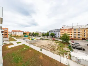 Pronájem bytu 2+kk, Olomouc, Třída Jiřího Pelikána, 46 m2