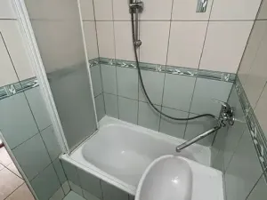 Pronájem bytu 1+1, Ústí nad Labem, Maková, 38 m2