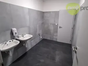 Pronájem skladu, Zlín, Šedesátá, 240 m2