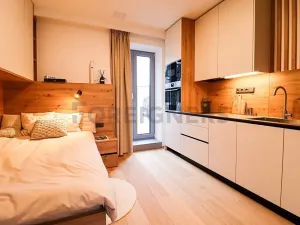 Pronájem bytu 1+kk, Brno, Cyrilská, 19 m2