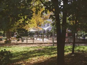 Pronájem bytu 4+kk, Brno, Jaselská, 120 m2