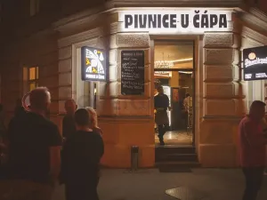 Pronájem bytu 4+kk, Brno, Jaselská, 120 m2