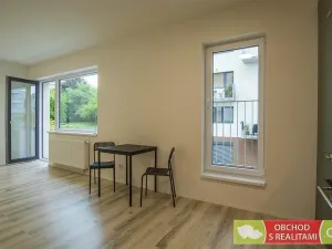 Pronájem bytu 1+kk, Praha, Štěchovická, 45 m2