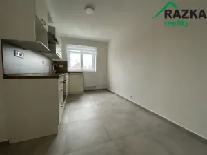 Pronájem bytu 2+1, Planá, Zahradní, 50 m2