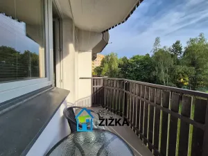 Pronájem bytu 1+1, Brno, Voříškova, 32 m2