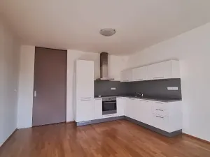 Pronájem bytu 1+1, Praha - Smíchov, Fráni Šrámka, 44 m2
