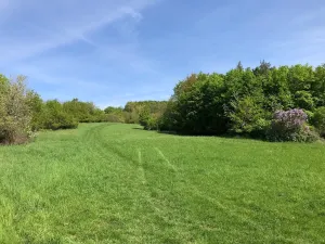 Prodej louky, Praha - Nebušice, U Gabrielky, 24023 m2