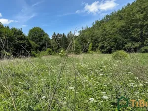 Prodej louky, Bílovice nad Svitavou, 3200 m2