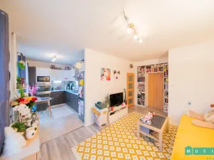 Pronájem bytu 2+kk, Olomouc, Foerstrova, 53 m2