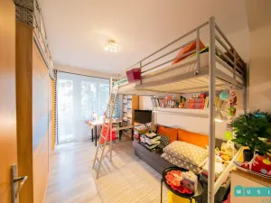 Pronájem bytu 2+kk, Olomouc, Foerstrova, 53 m2