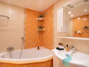 Prodej bytu 3+1, České Budějovice, Labská, 72 m2