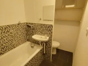 Pronájem bytu 1+kk, Chodov, Palackého, 20 m2