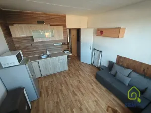 Pronájem bytu 1+kk, Chodov, Palackého, 20 m2