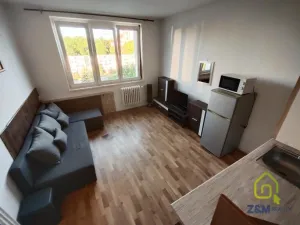Pronájem bytu 1+kk, Chodov, Palackého, 20 m2