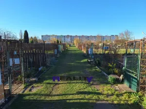 Pronájem zahrady, Podbořany, Sídliště Míru, 165 m2