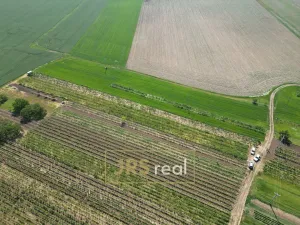 Prodej pozemku, Trboušany, 1135 m2