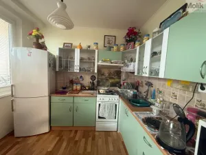 Pronájem bytu 4+1, Litvínov - Janov, Luční, 83 m2