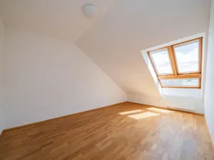 Pronájem bytu 5+1, Praha - Smíchov, Štefánikova, 168 m2