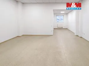 Pronájem kanceláře, Praha - Bubeneč, Podbabská, 33 m2