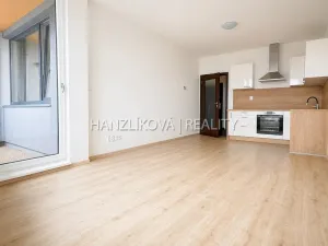 Pronájem bytu 2+kk, České Budějovice - České Budějovice 3, Staroměstská, 58 m2