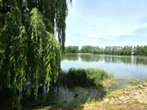 Prodej chalupy, Chýně, Hlavní, 86 m2