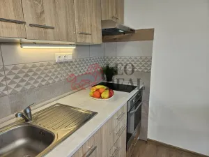 Pronájem bytu 1+kk, Nový Jičín - Loučka, Jičínská, 32 m2