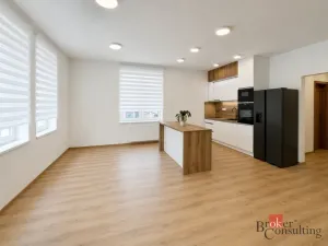 Pronájem bytu 4+kk, Opava - Předměstí, Na Nábřeží, 88 m2