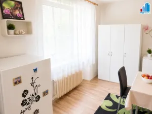 Pronájem bytu 1+kk, Plzeň - Jižní Předměstí, Čechova, 23 m2