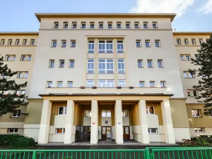Prodej bytu 1+kk, Praha, Jana Želivského, 29 m2